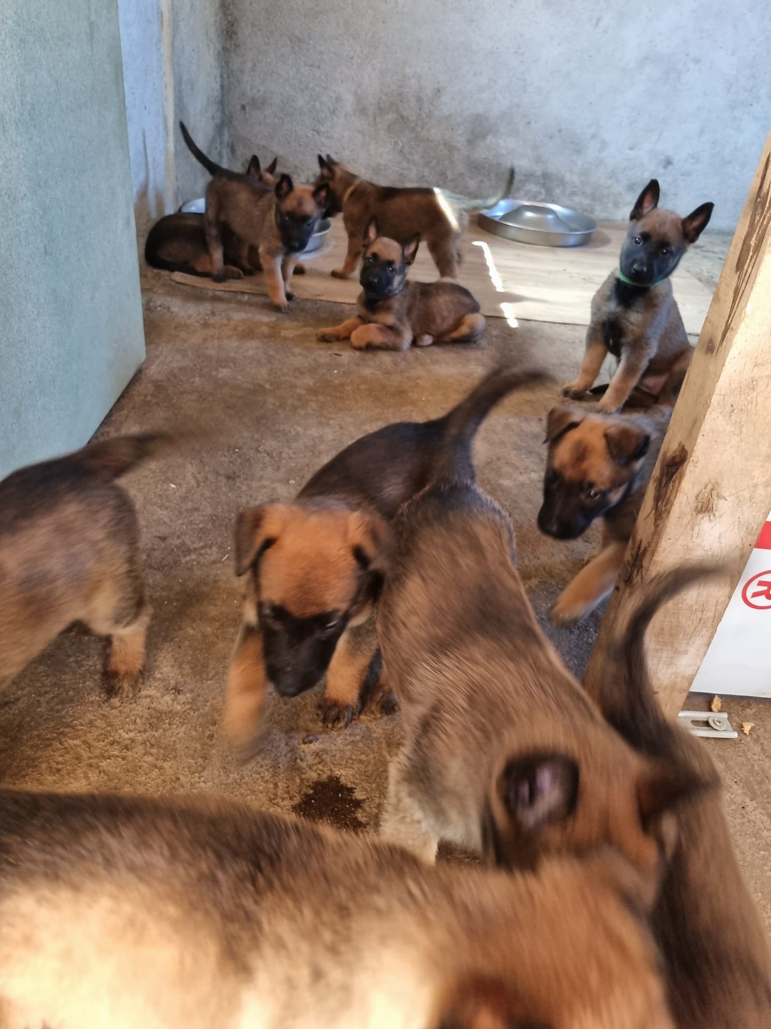 481665968_1197394719053337_3868600317166973553_n