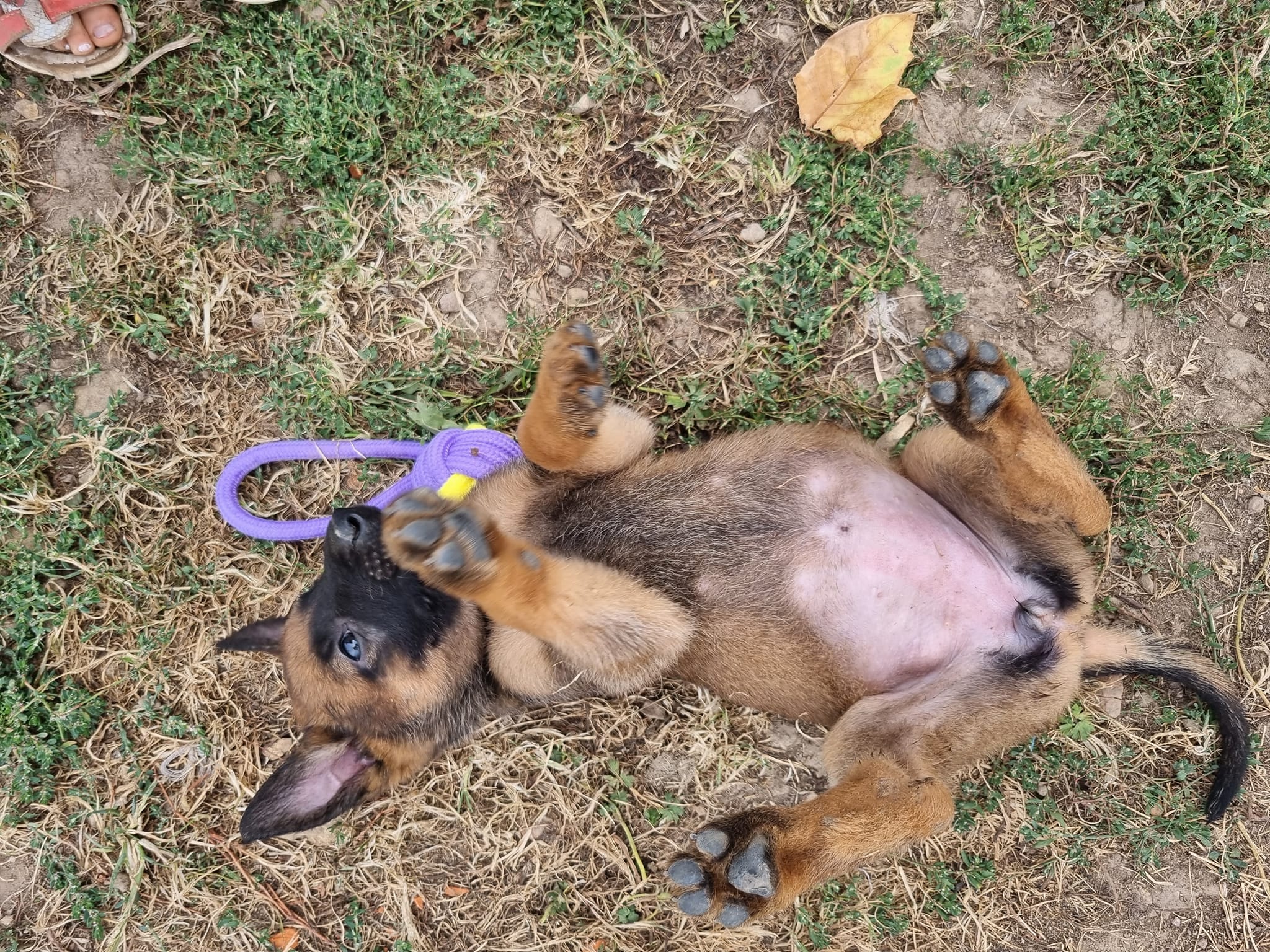 481955273_1198047362321406_6718441742309473956_n