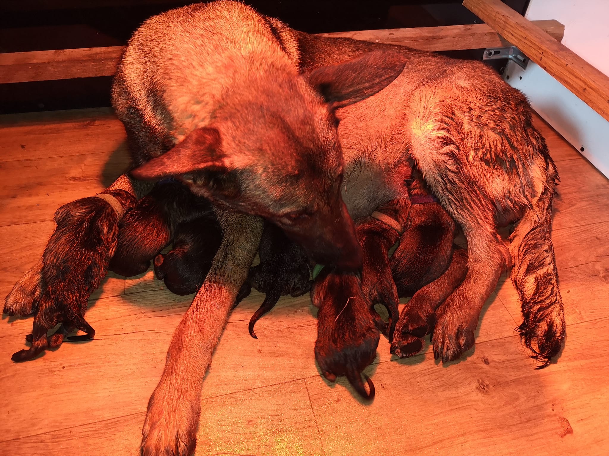 482064011_1125918056213370_3129451715028512862_n