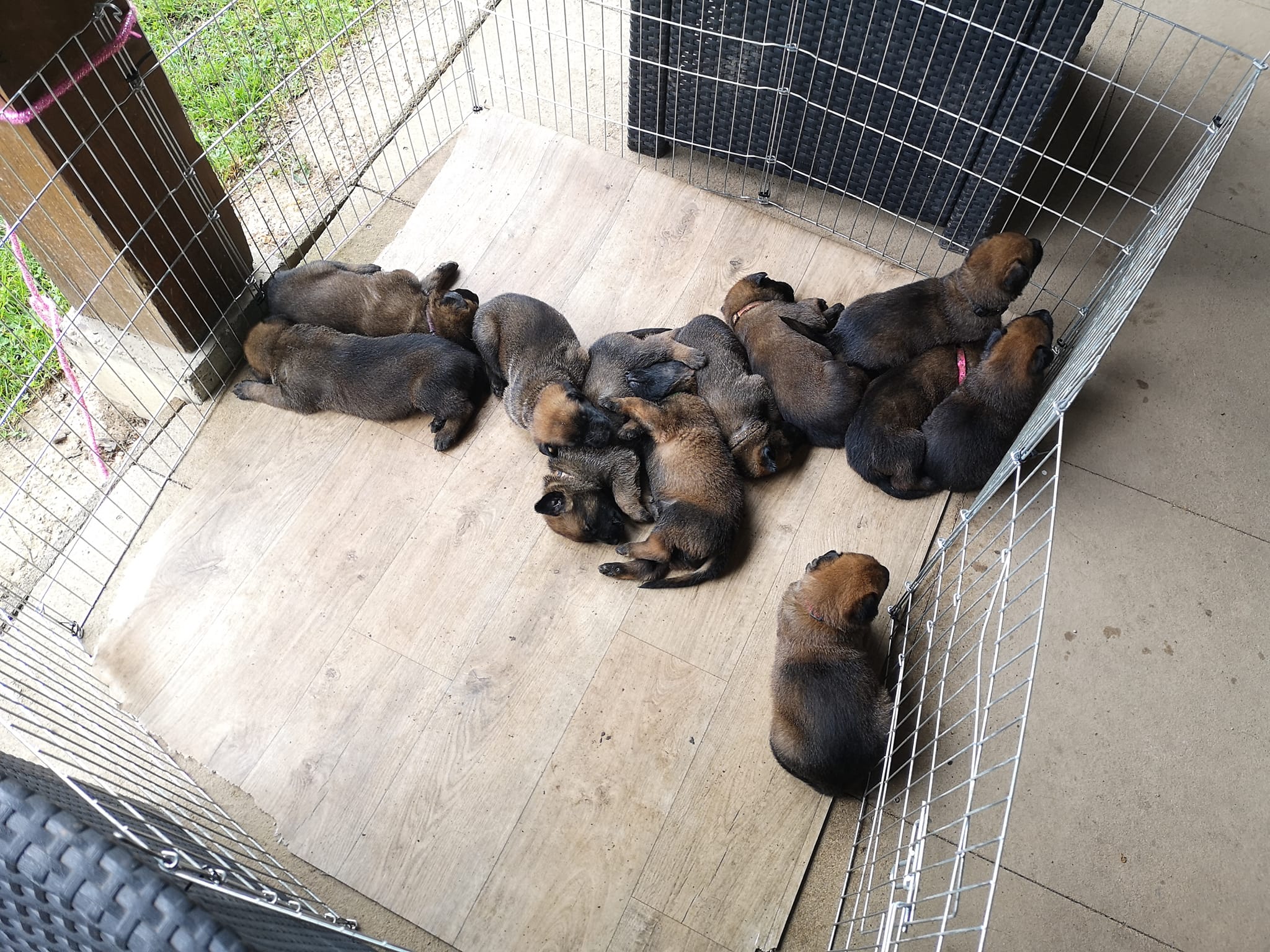 488659478_1149896413815534_5431826557206387096_n