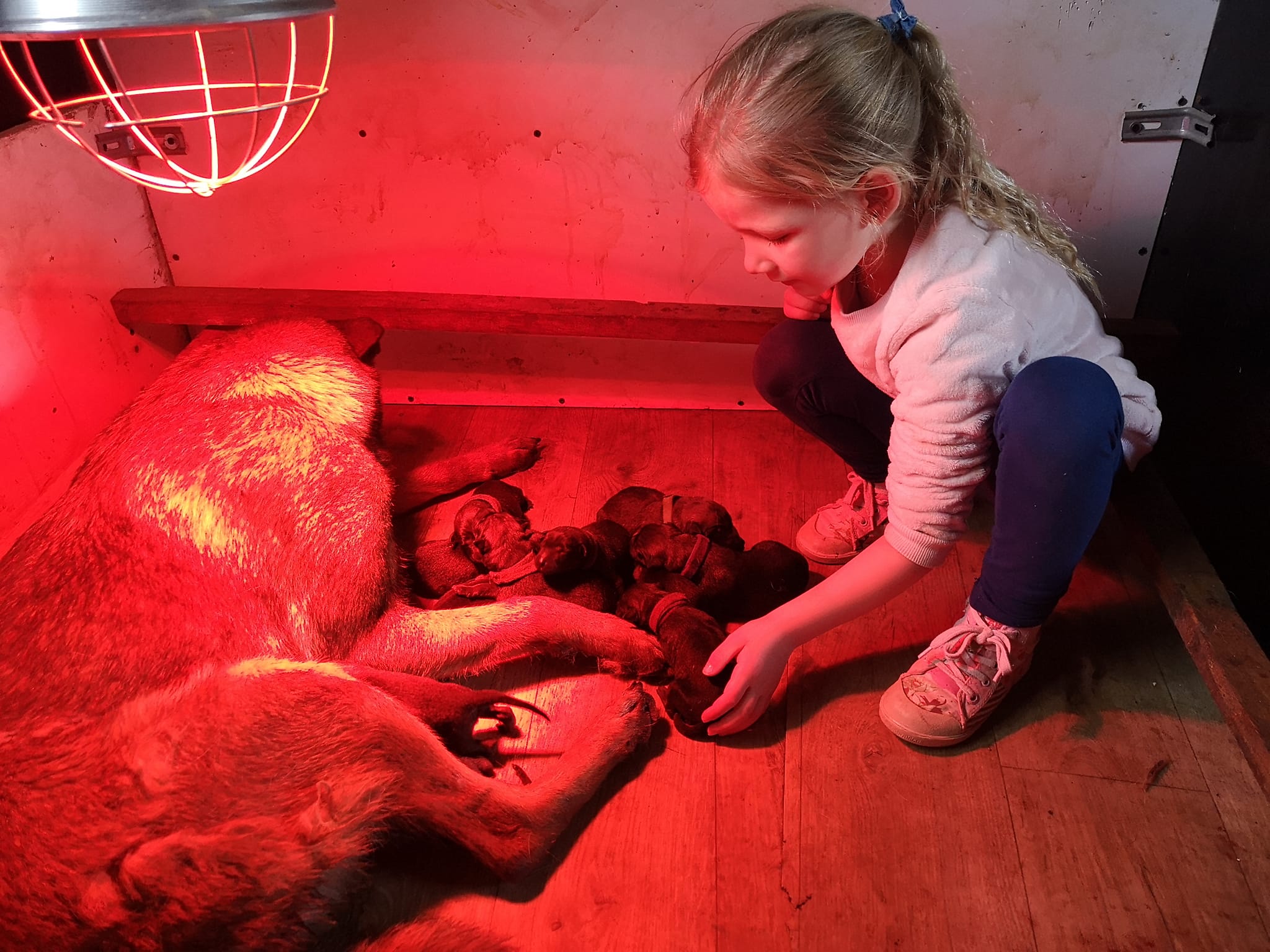 488696176_1149896647148844_3124823667294770760_n