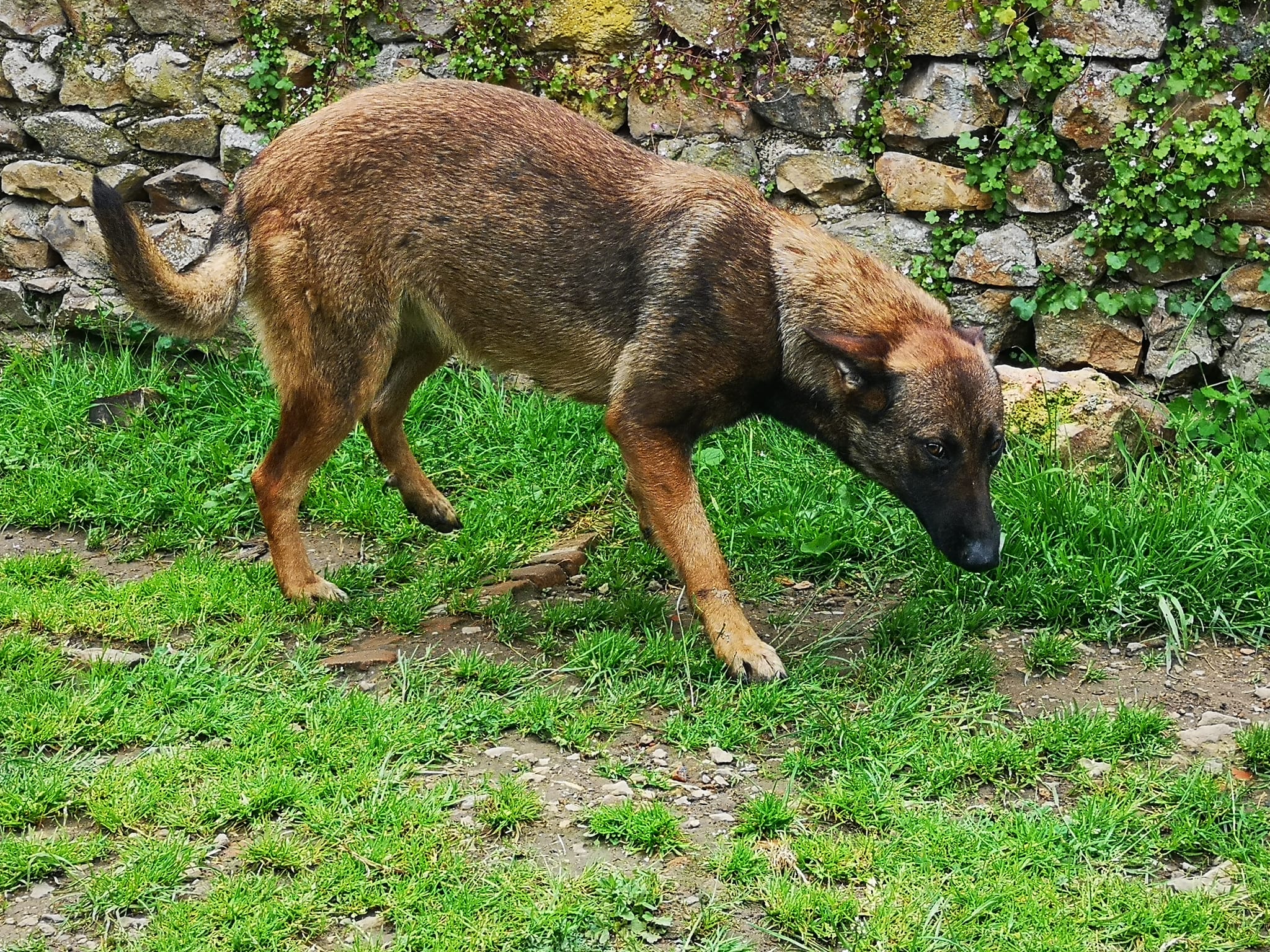 489537125_1149896643815511_2547018038146187738_n