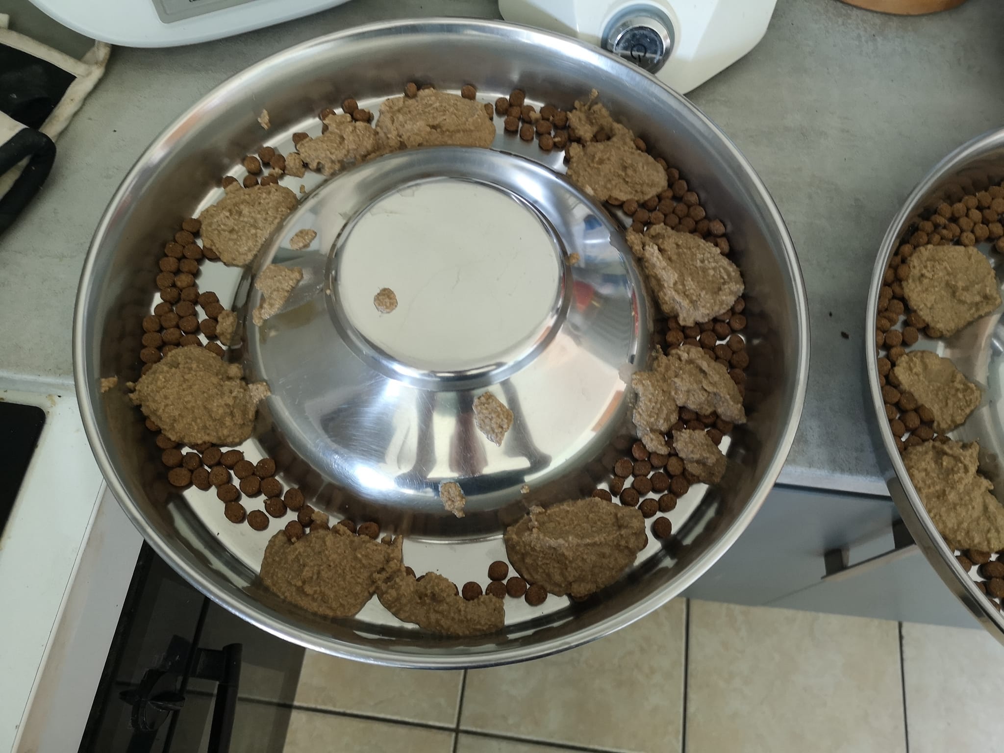 Croquettes pour chien