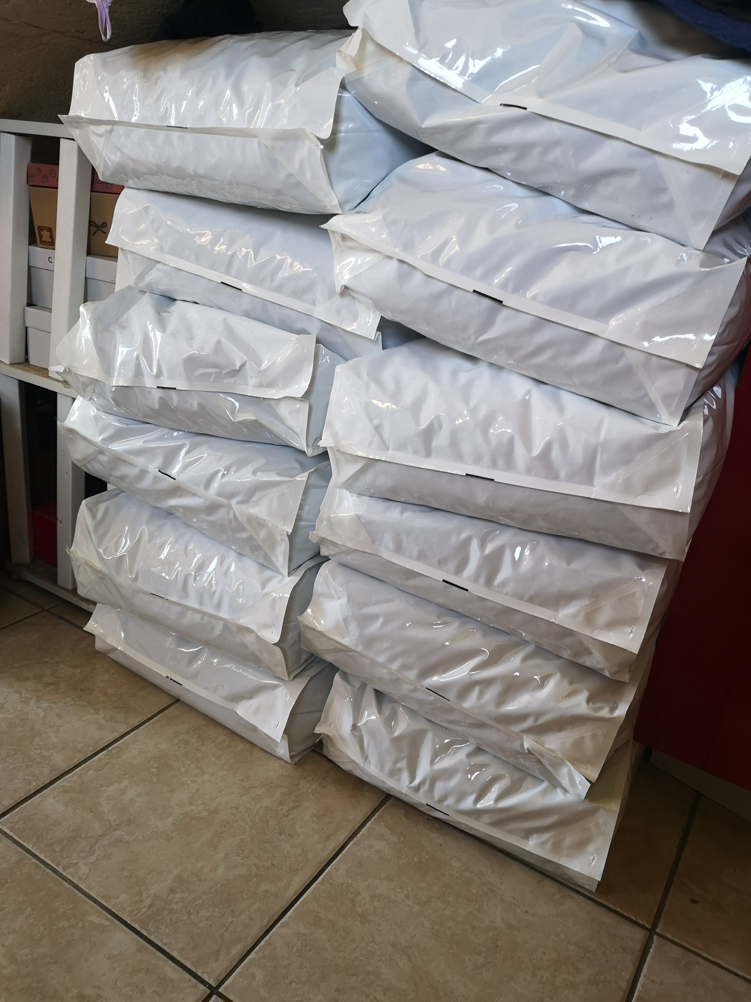 Croquettes adultes (1)