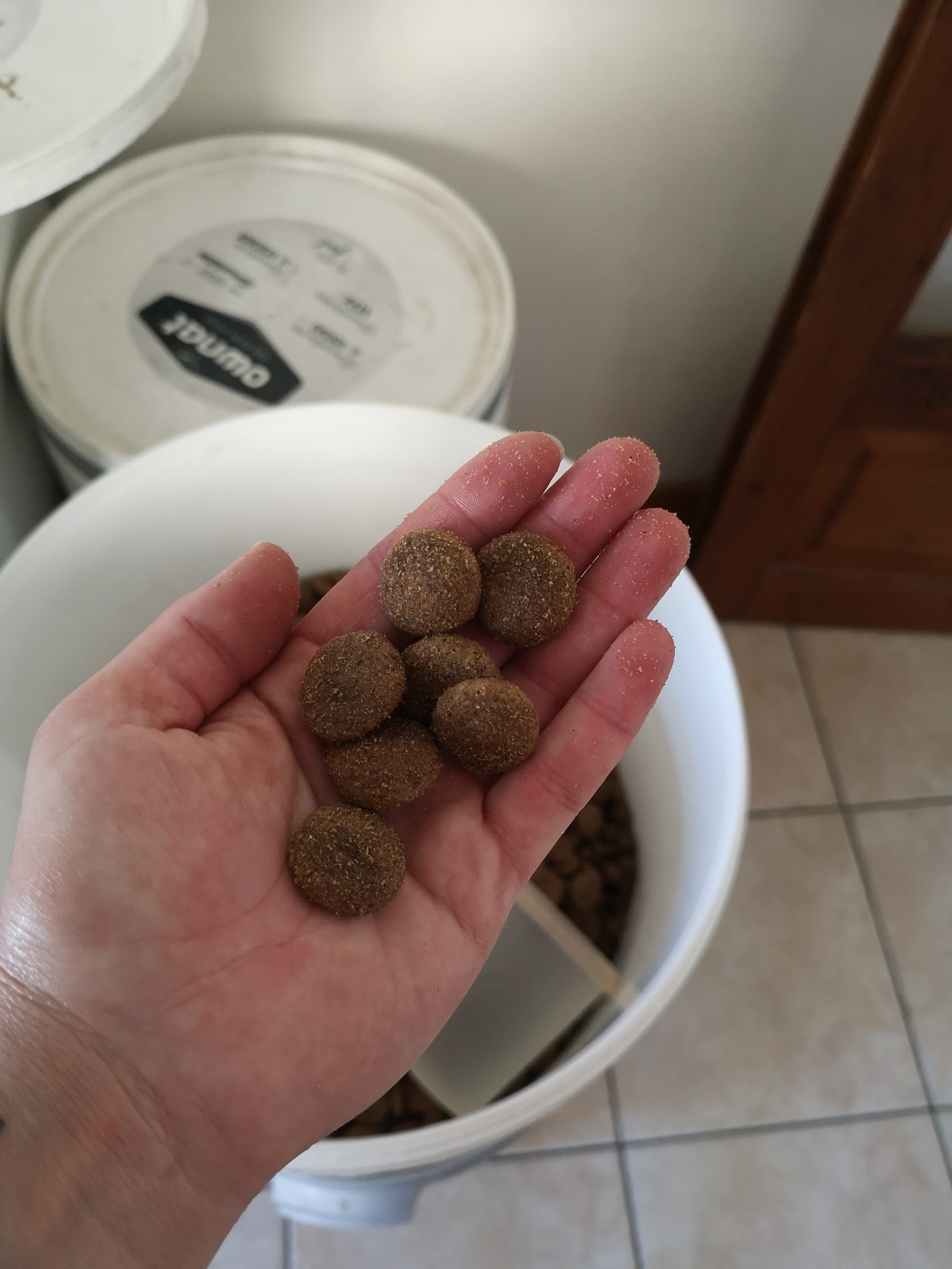 Croquettes pour chien