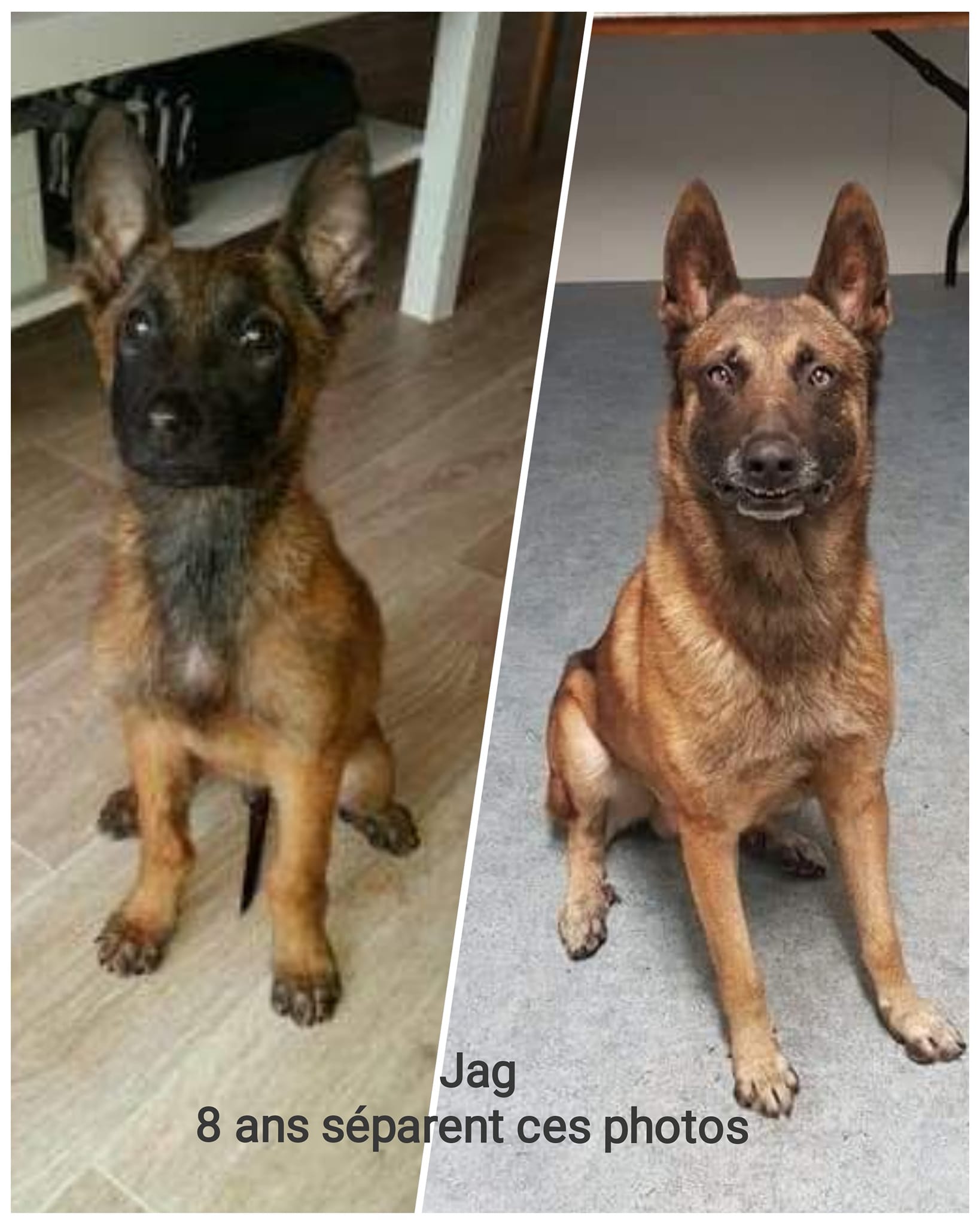 Jag le jour de son arrivée contre 8 ans